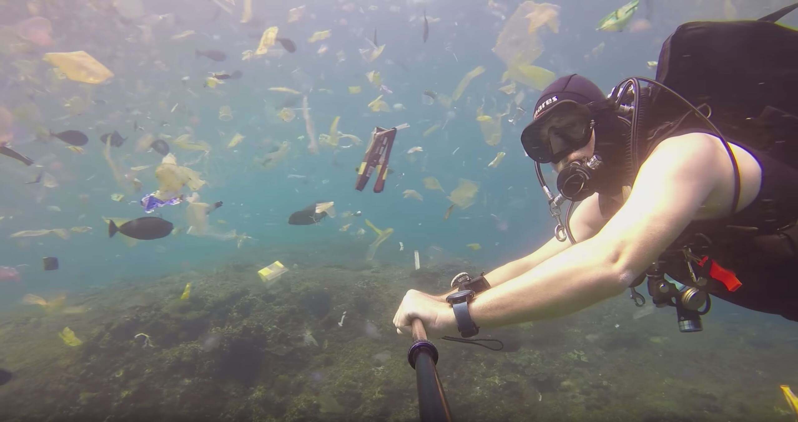Plastic, plastic, so much plastic - can a viral video change how we view ocean waste?