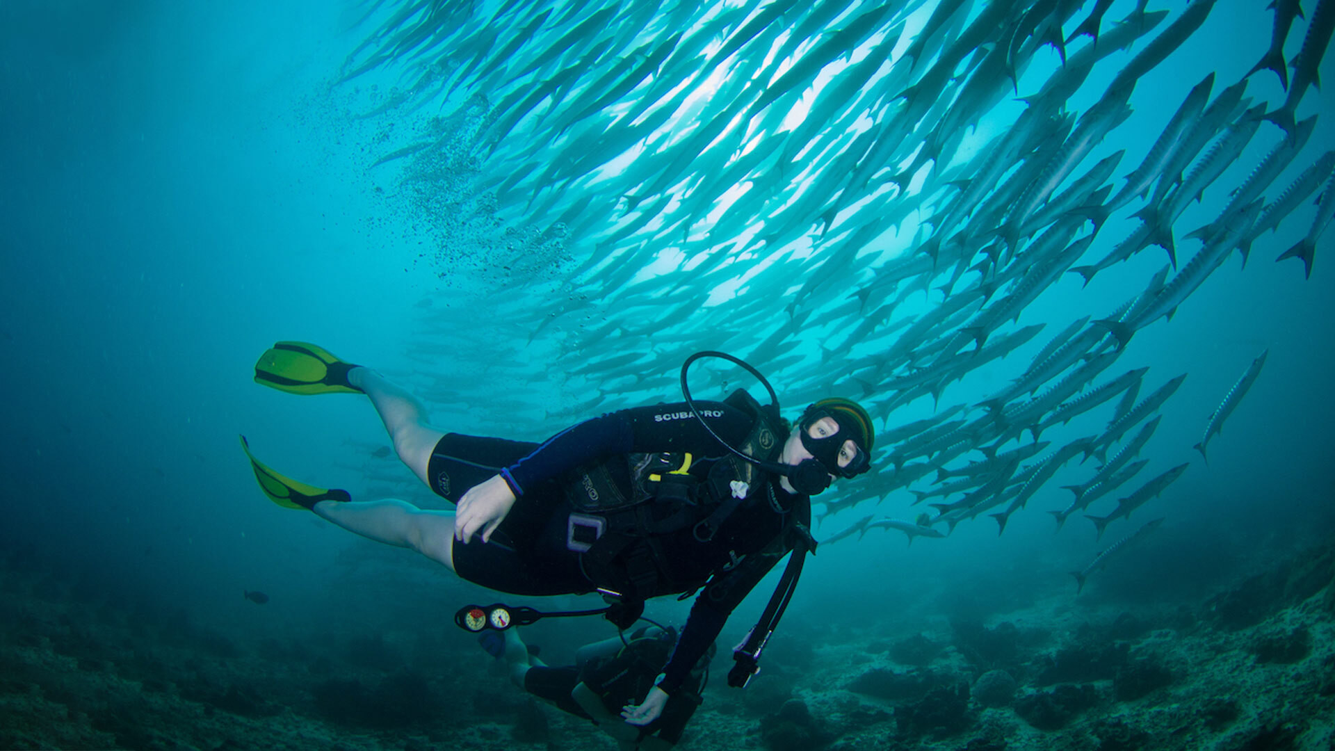 Discover Sipadan Island - Malaysia's best scuba diving