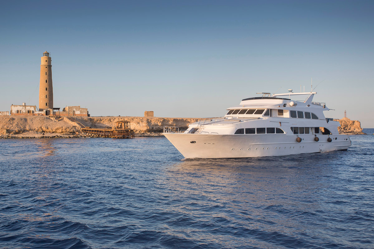 High season in the Red Sea is the ideal time to join a liveaboard trip.