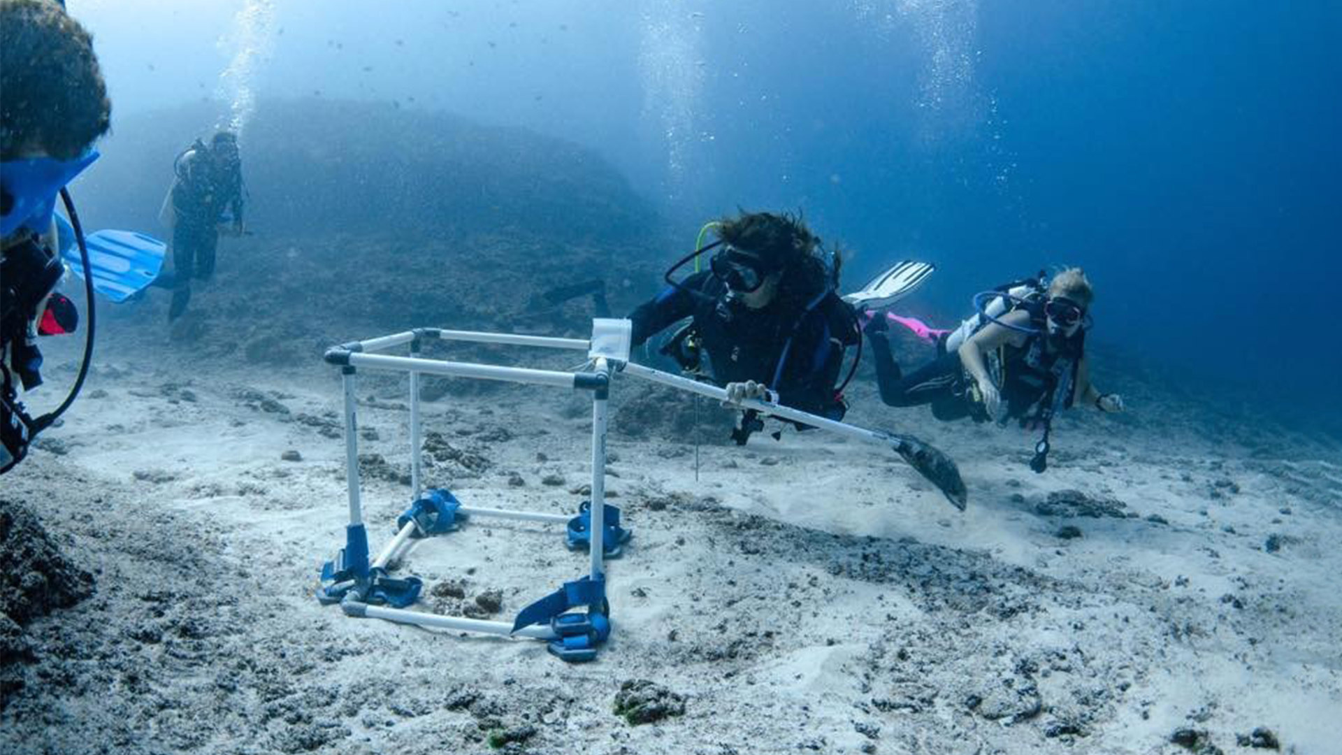 Serena from Indo Ocean Project - An Ecoventures Interview