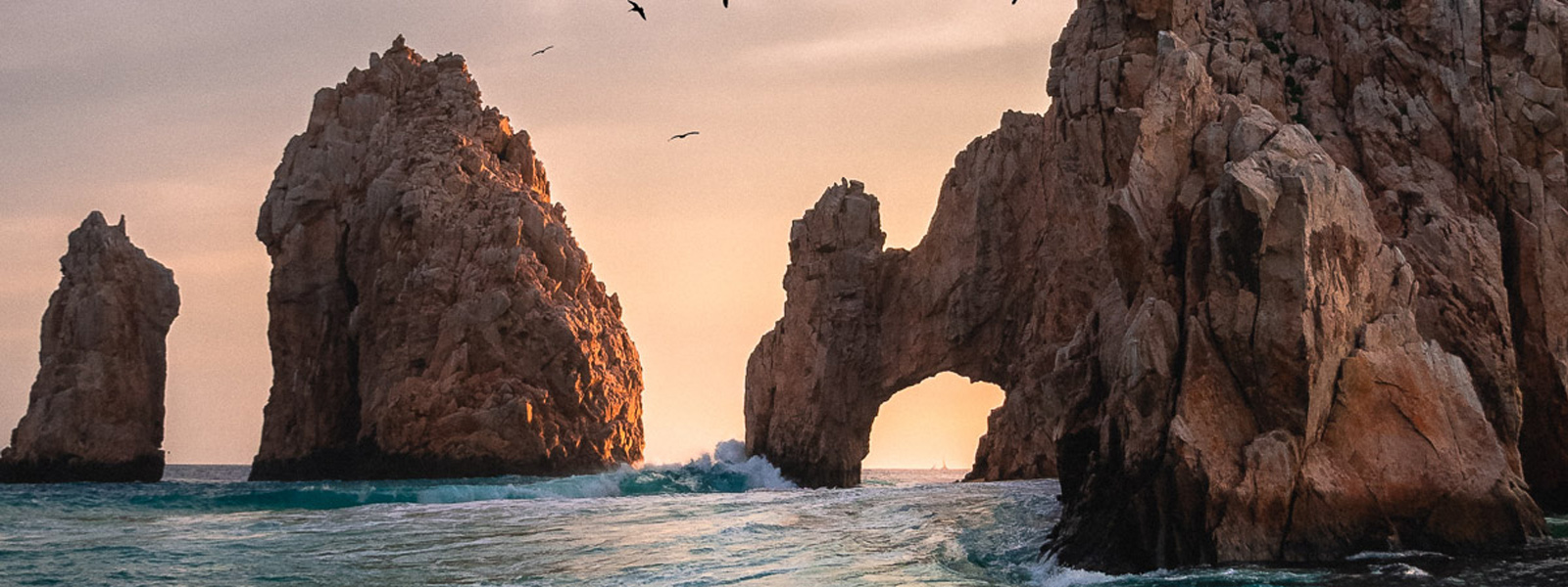 Top shark diving in Baja California