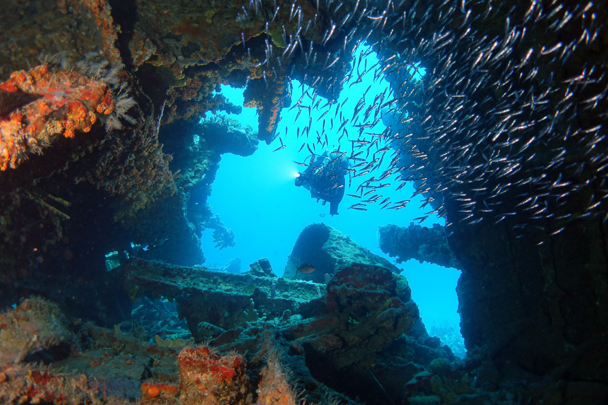 A diver exploring the wreckage of the RMS Rhone off BVI.