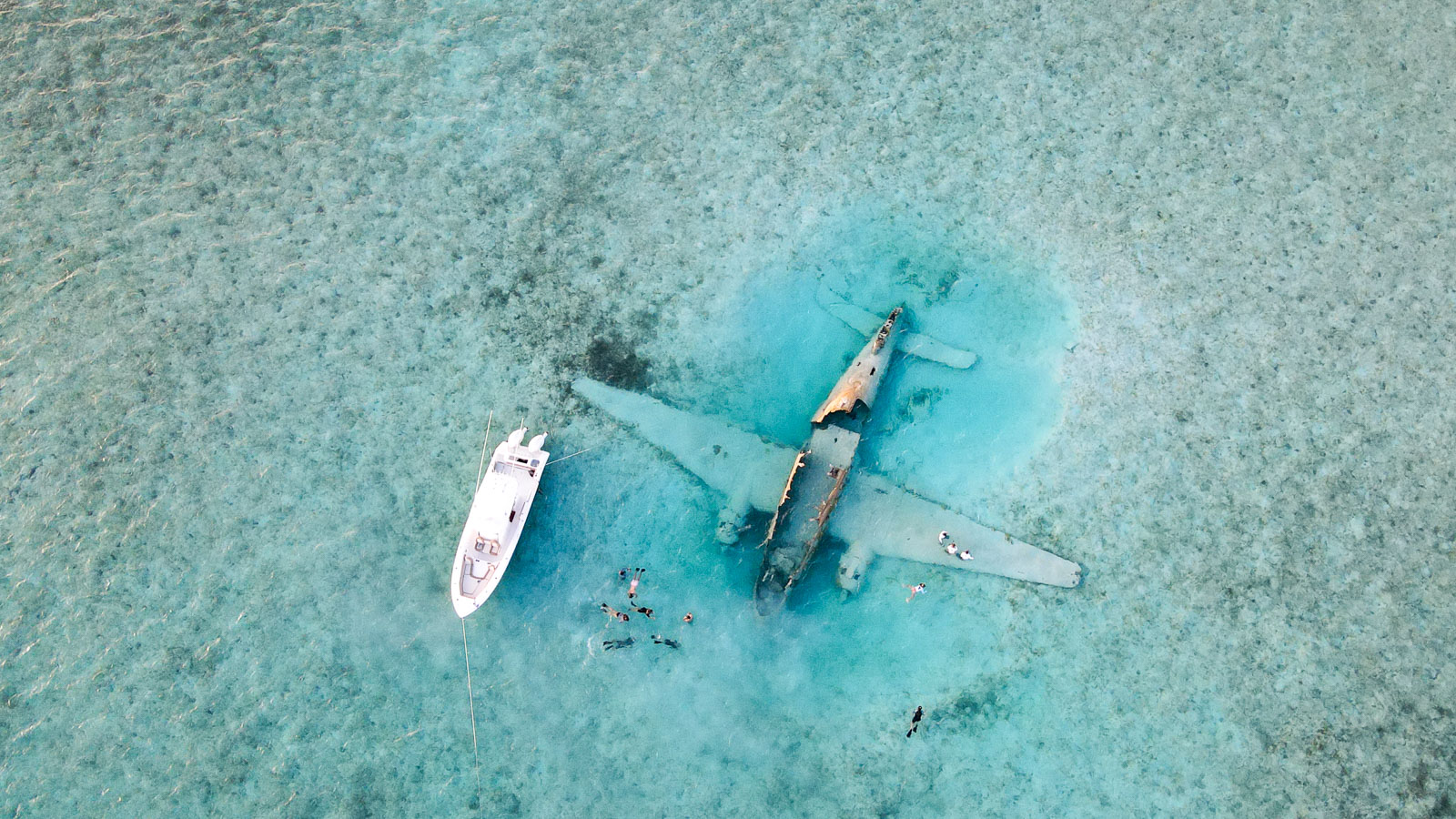 Unique dive sites and underwater experiences of the Caribbean