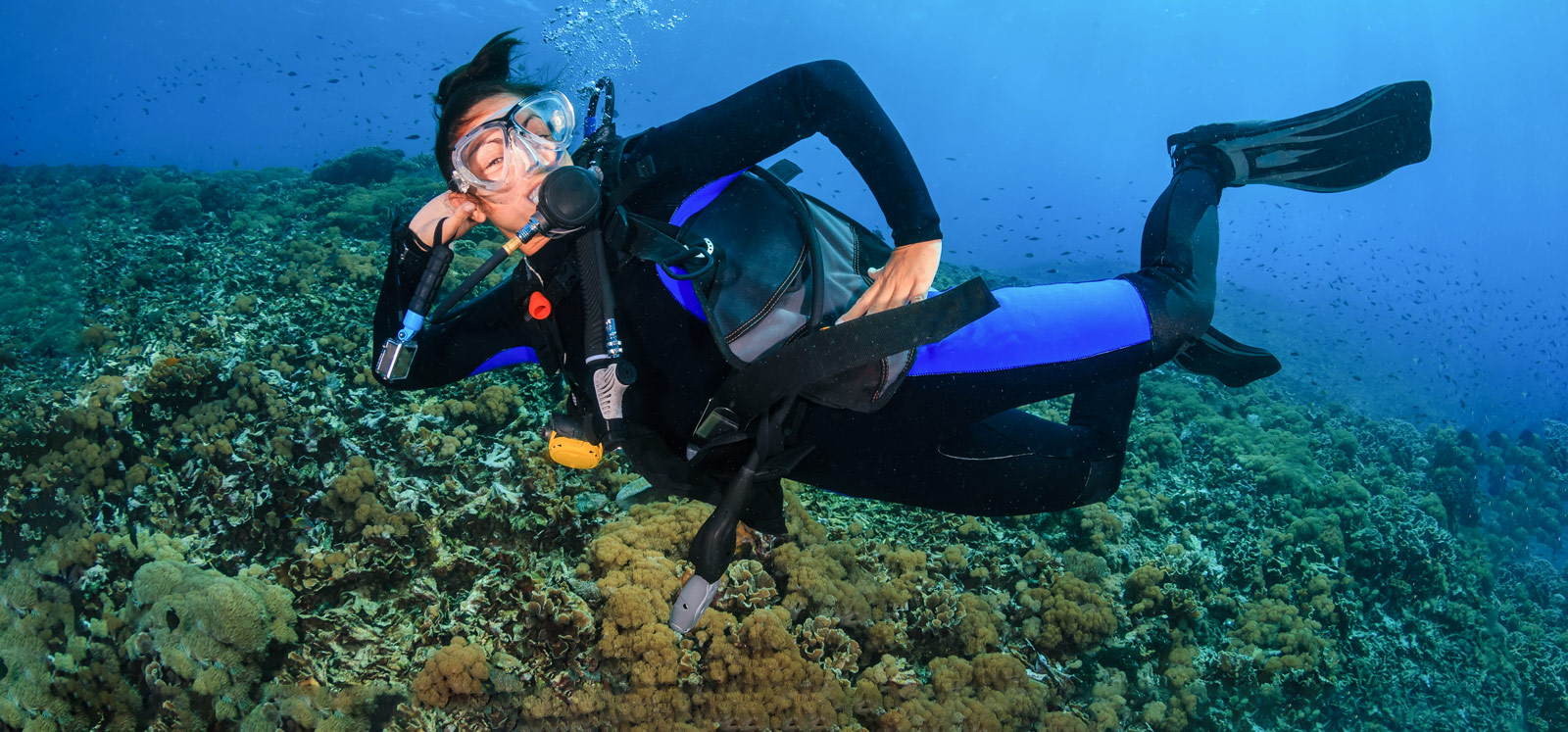 Women's dive travel - where to go and what to know
