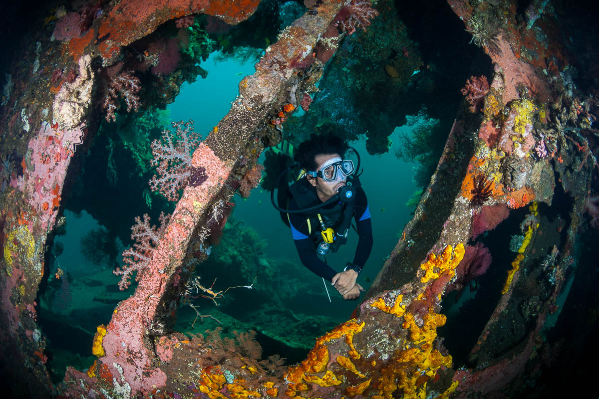Diver exploring the Liberty Wreck, Bali