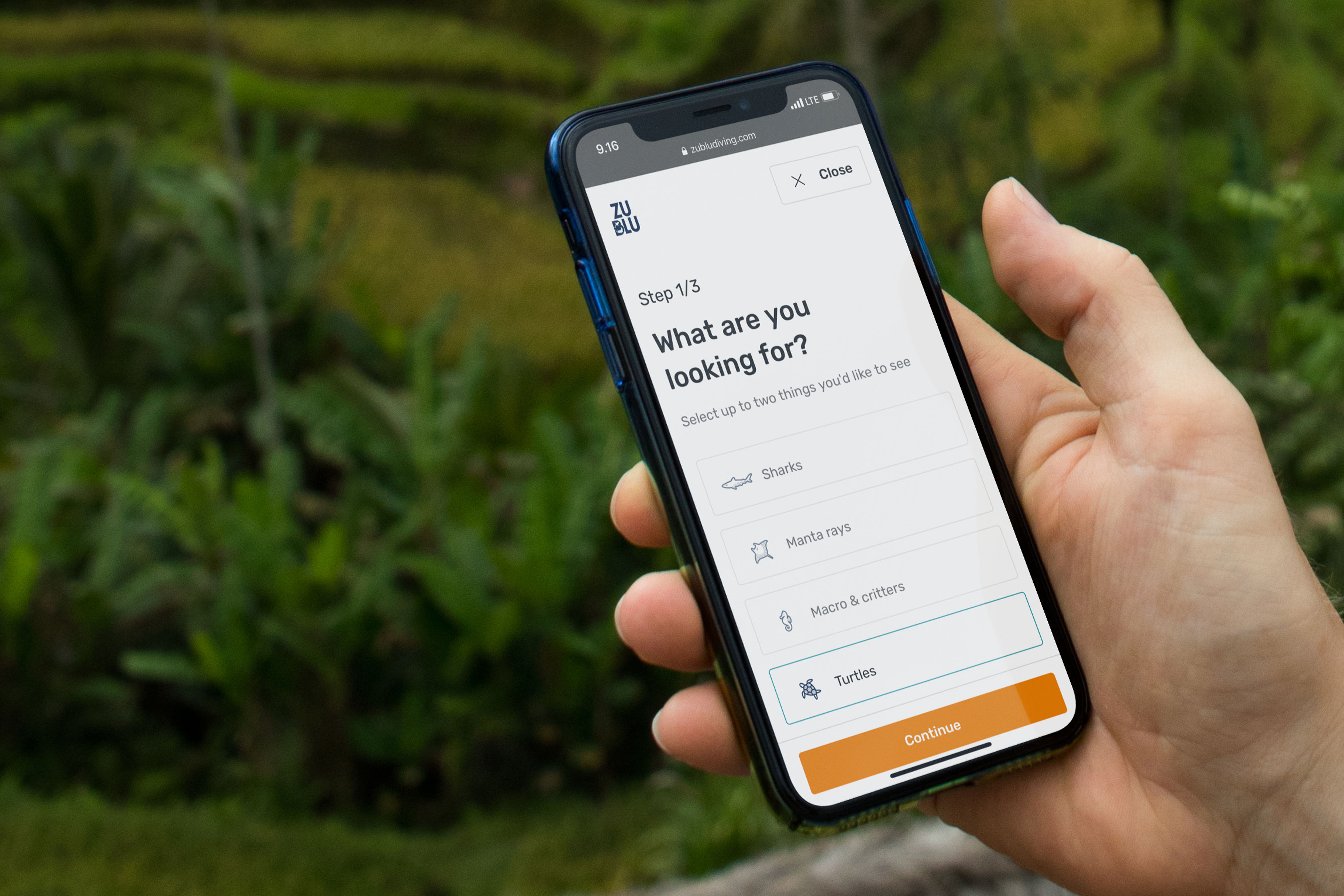 ZuBlu discovery tool