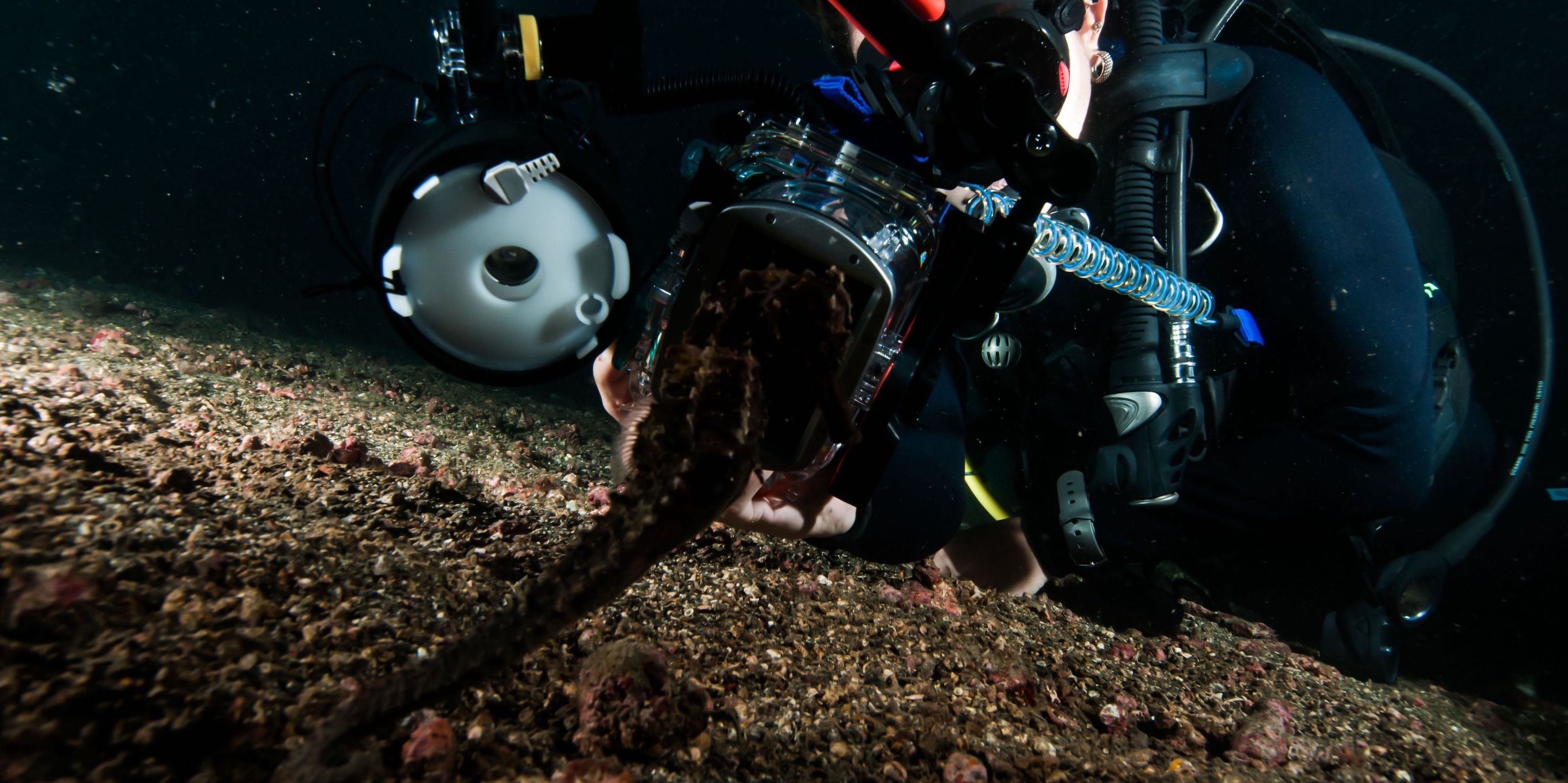 The fundamentals of underwater macro photography
