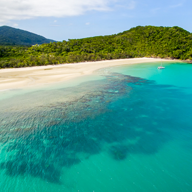 The ultimate reef and rainforest adventure Image