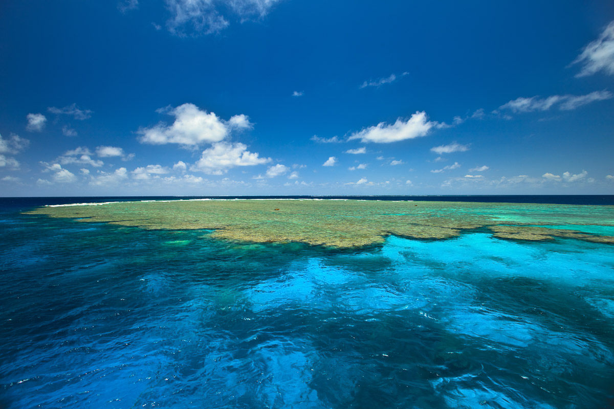 Lizard Island Diving 4