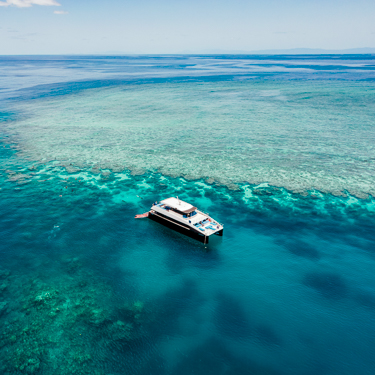 Cruise the Great Barrier Reef from Cairns Image