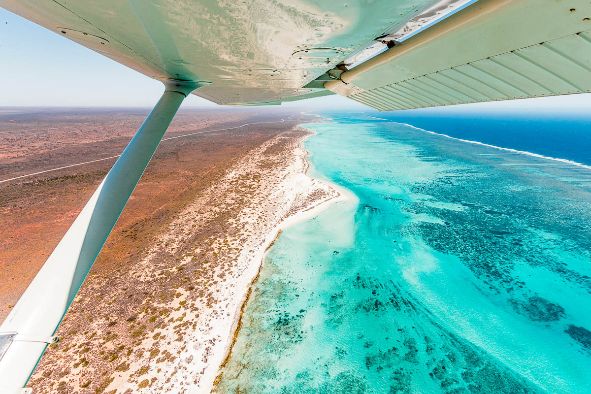 Ningaloo Reef Exmouth Western Australia Scuba Diving 7