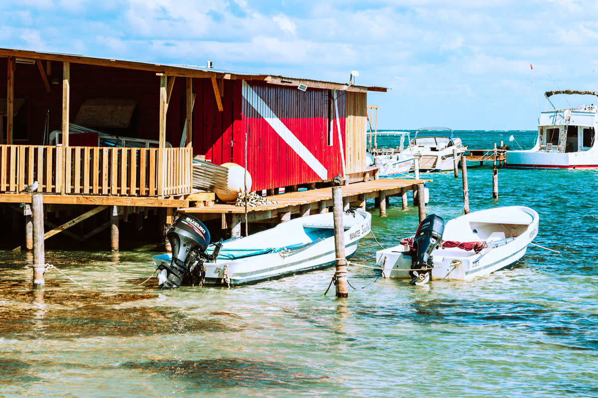 Ambergris Caye Caulker Belize Scuba Diving 7