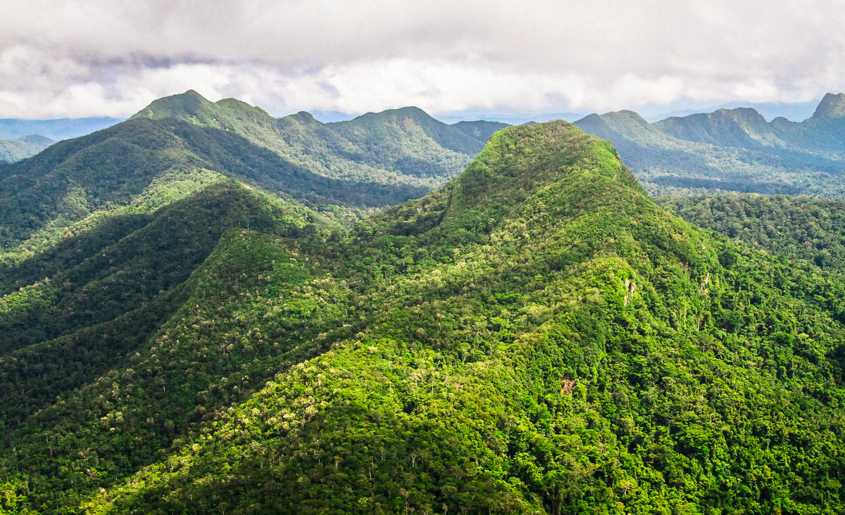 Cockscombe Wildlife Sanctuary landscape, Belize