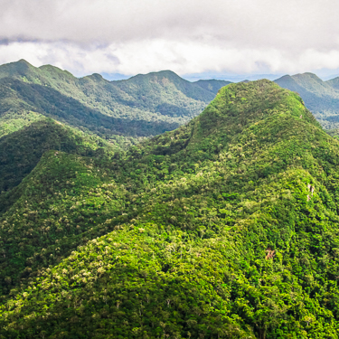 Belize Cockscombe Reserve
