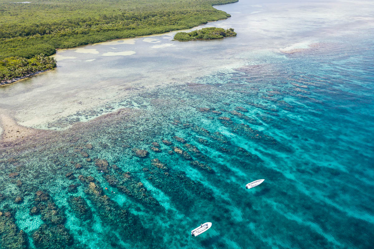 Turneffe Atoll Lighthouse Reef Great Blue Hole Belize Diving 5