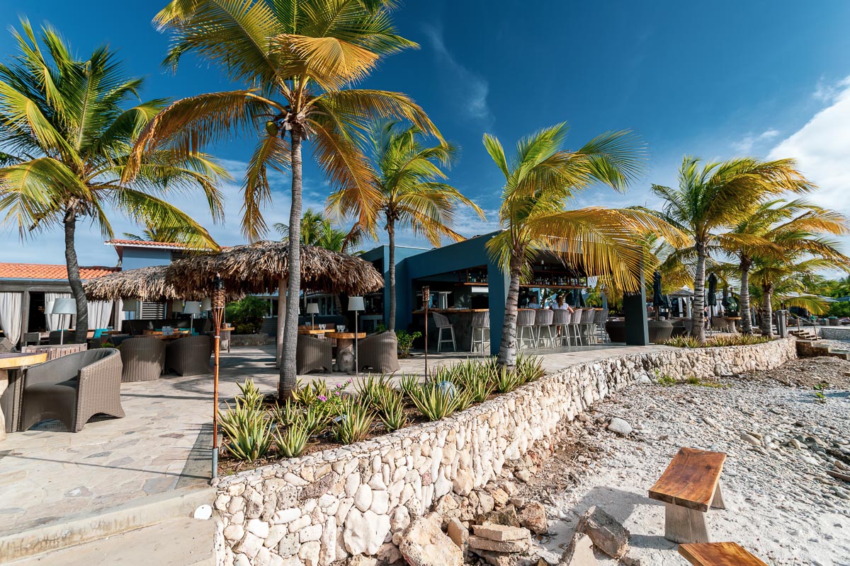 Delfins Beach Resort Bonaire 10