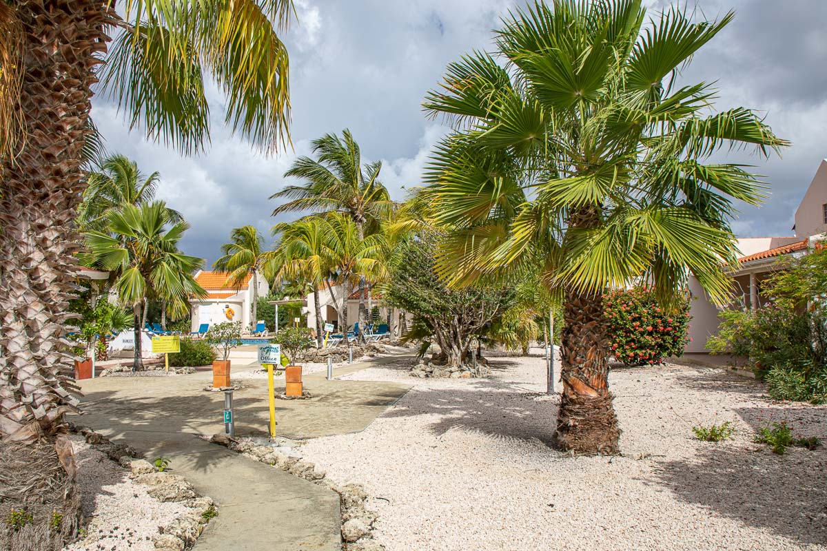 Hamlet Oasis Resort Bonaire 2