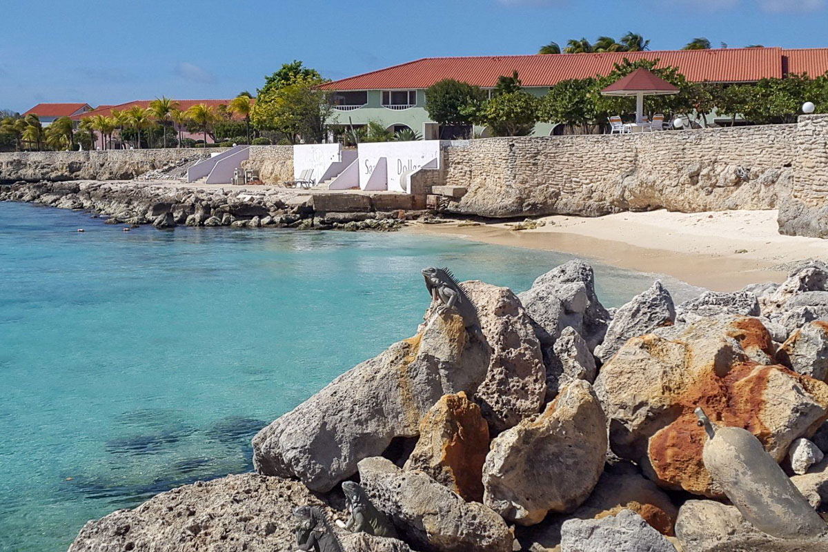 Sand Dollar Condominiums Bonaire 5