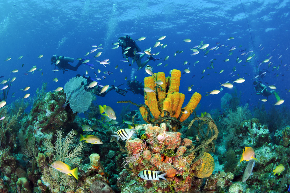 Best diving destinations in the Caribbean