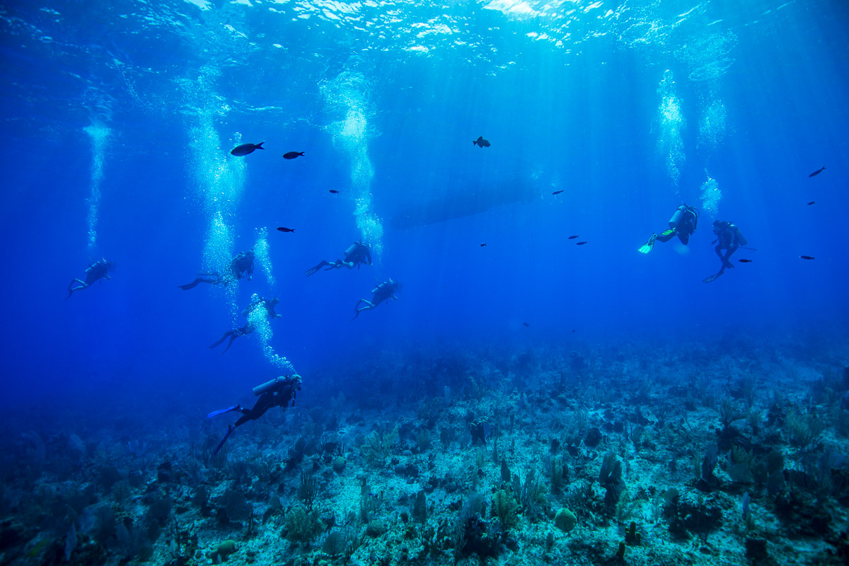 Cayman Brac Little Cayman Scuba Diving