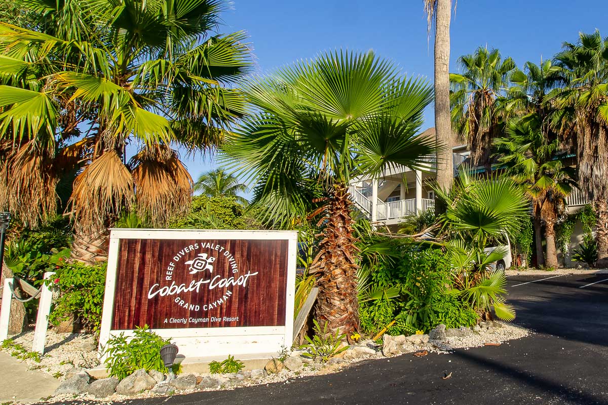 Cobalt Coast Gran Cayman 12