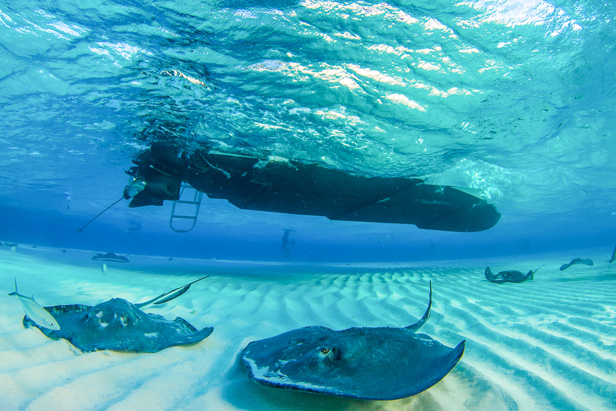 Grand Cayman Scuba Diving 3