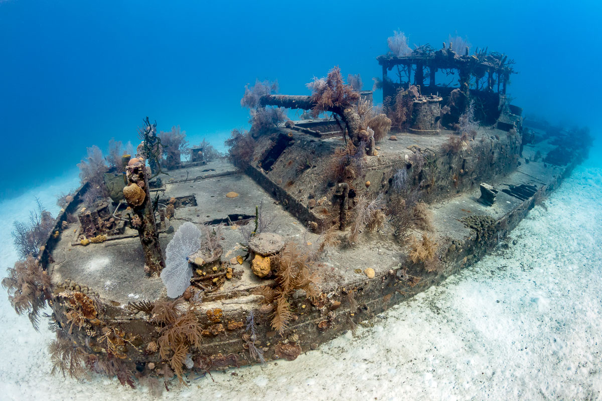 Grand Cayman Scuba Diving 8