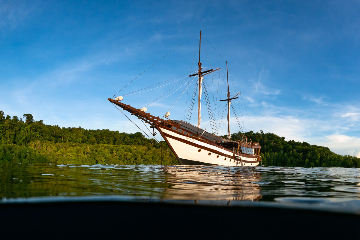Majik Charter Yacht 6