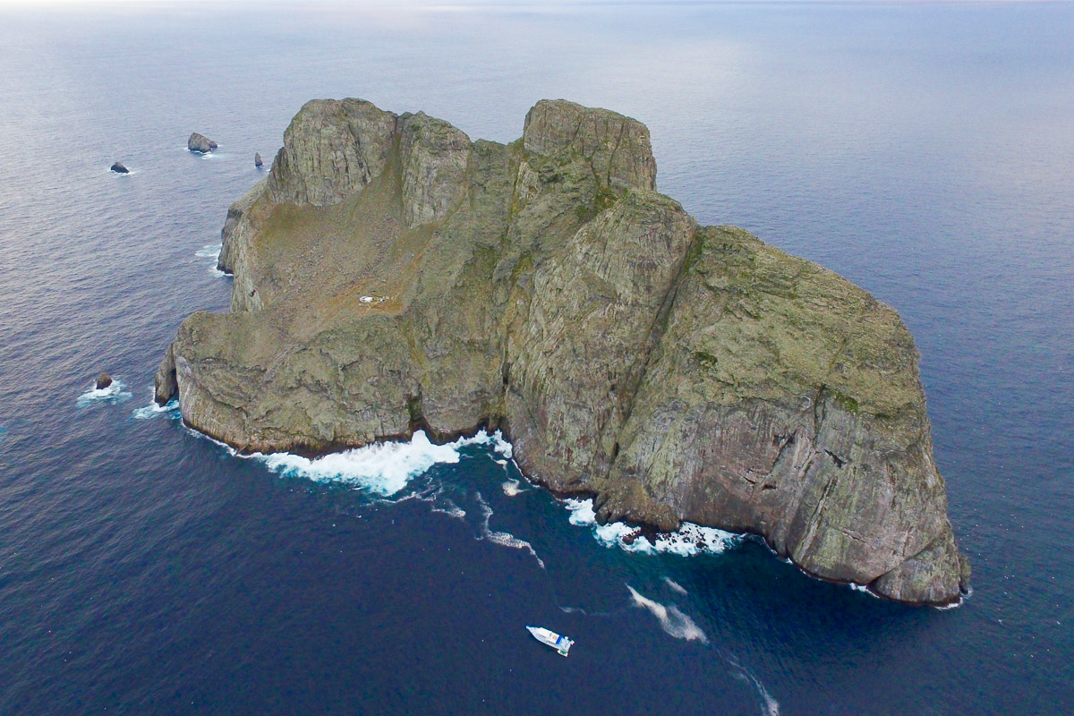 Malpelo Island Colombia Diving