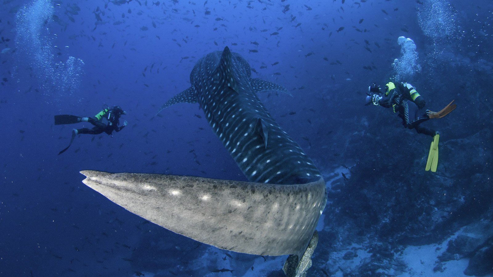 Cocos Island