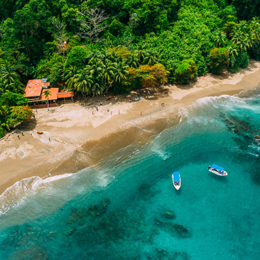 Spot powerful pelagics and marine mammals at Caño Island Image