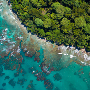 Snorkel the tropical bays and lagoons of Gandoca Wildlife Refuge Image