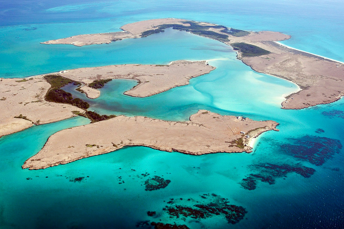 Djibouti Scuba Diving 10
