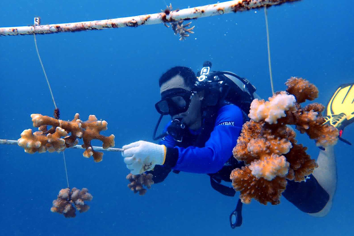 Why scuba diving programmes make for epic gap years