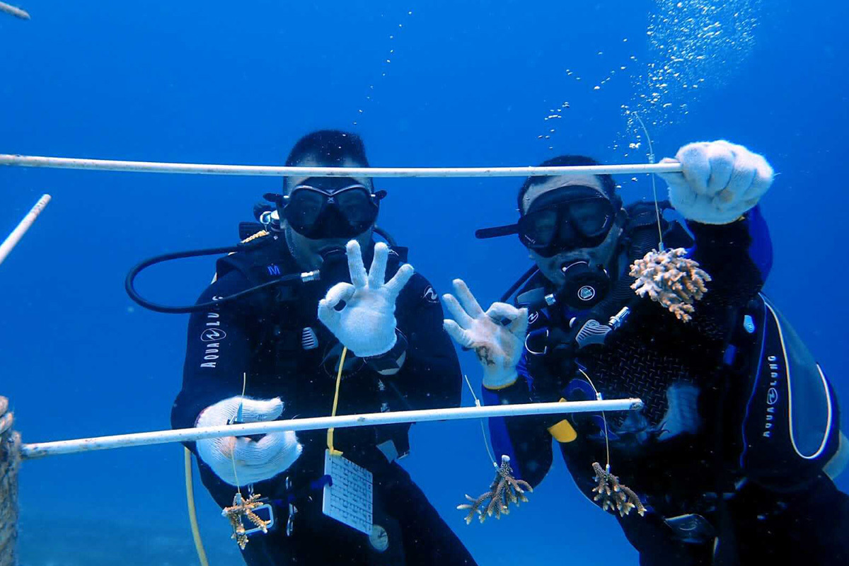 Atlantis Resort Ecoventure Coral Restoration 4