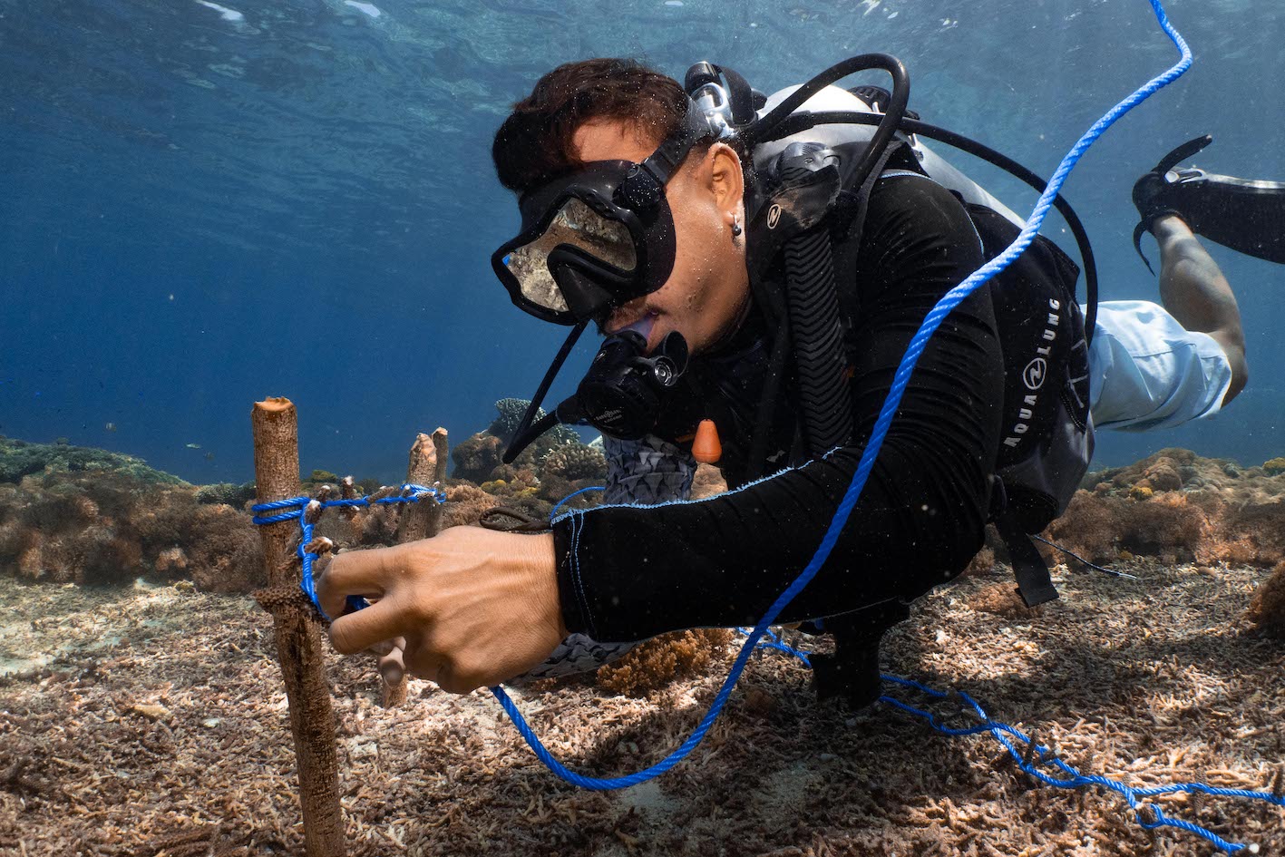 How to find the right marine volunteer opportunity abroad