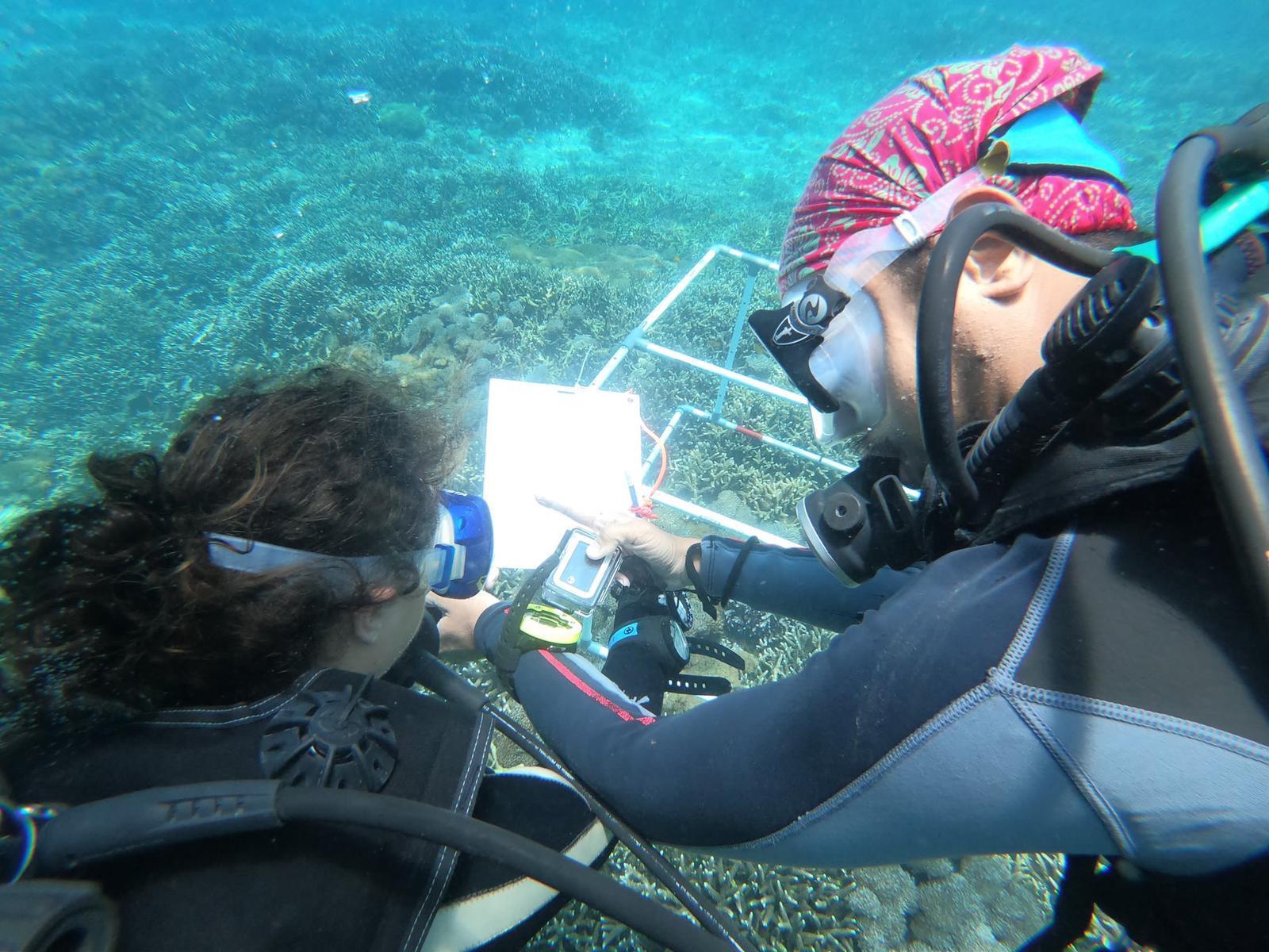Indo Ocean Project Penida - Divers Conducting Coral Survey