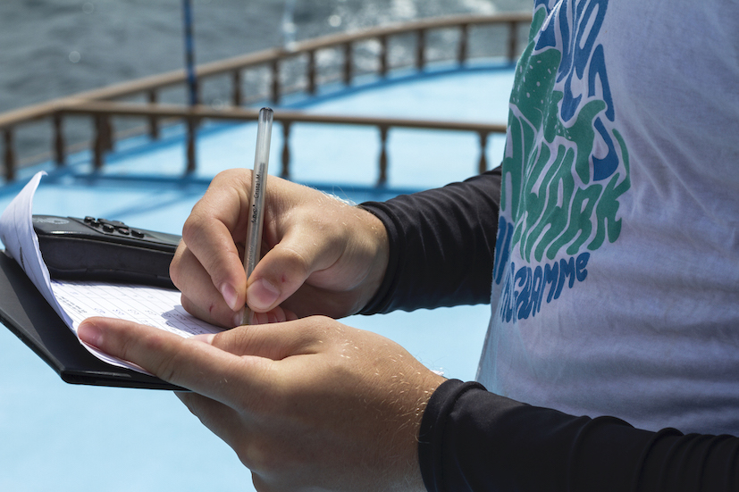 Mwsrp Whale Shark Research Team