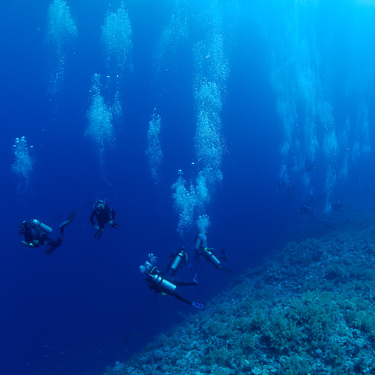 Red Sea Brothers Thumb