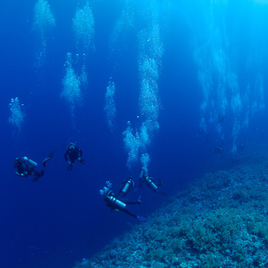 Drift diving and pelagics at the Brothers Islands Image