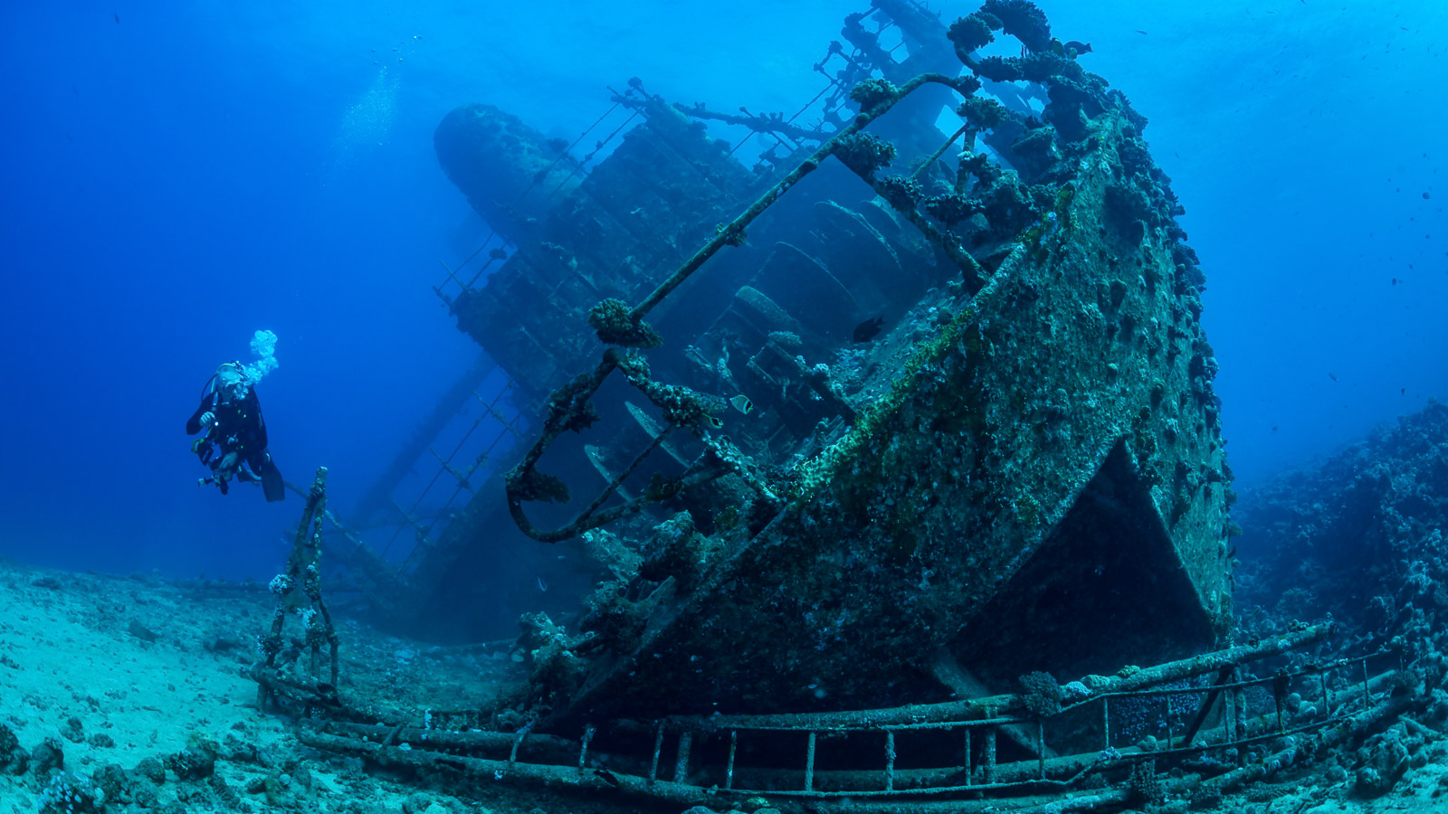 https://www.zubludiving.com/images/Egypt-Red-Sea/General/Red-Sea-Egypt-Scuba-Diving-Banner.jpg