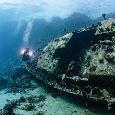 Southern Red Sea Thumb