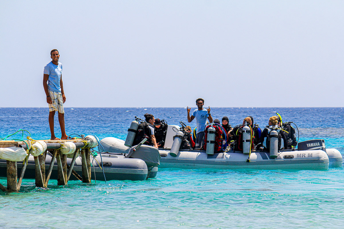 Marsa Shagra Red Sea Diving Safaris Egypt 31