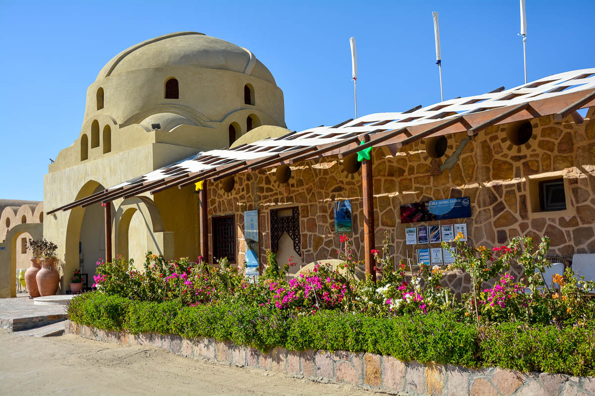 Marsa Shagra Red Sea Diving Safaris Egypt 9