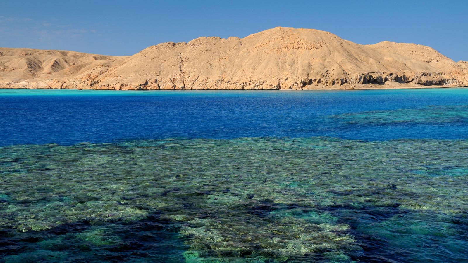 St Johns, Rocky Island and Zabargad