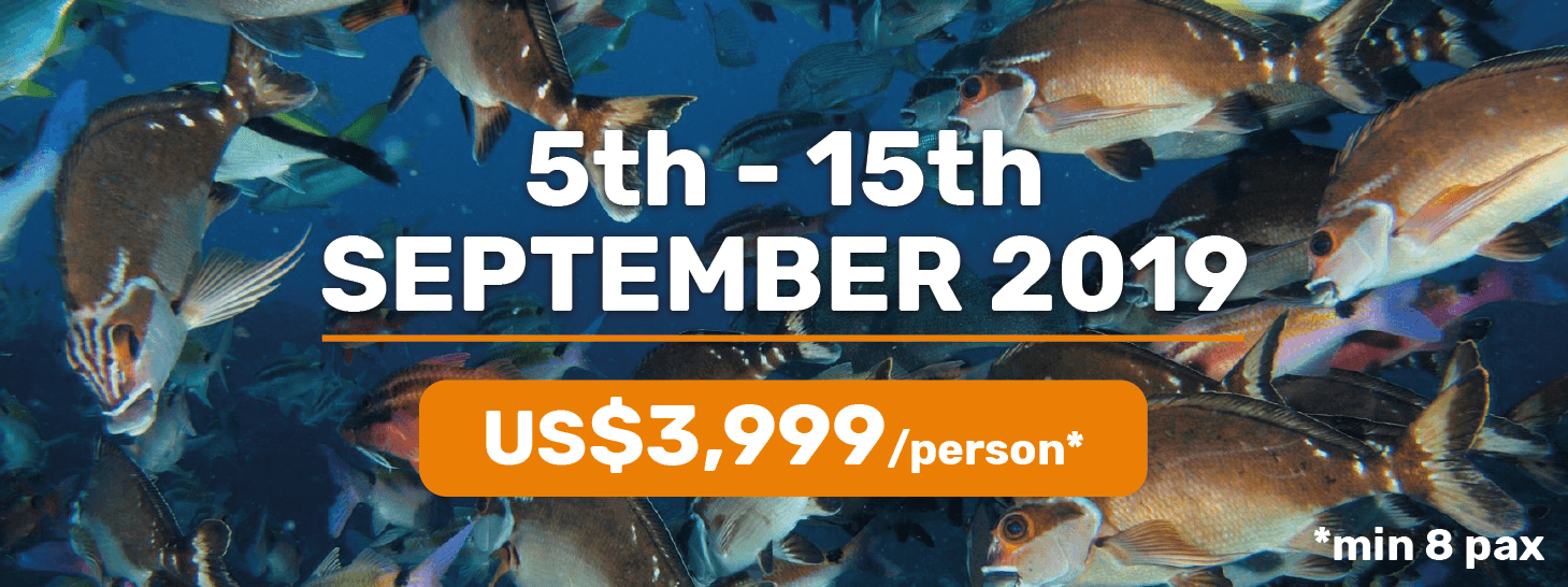 dates_banner-01.png#asset:8062