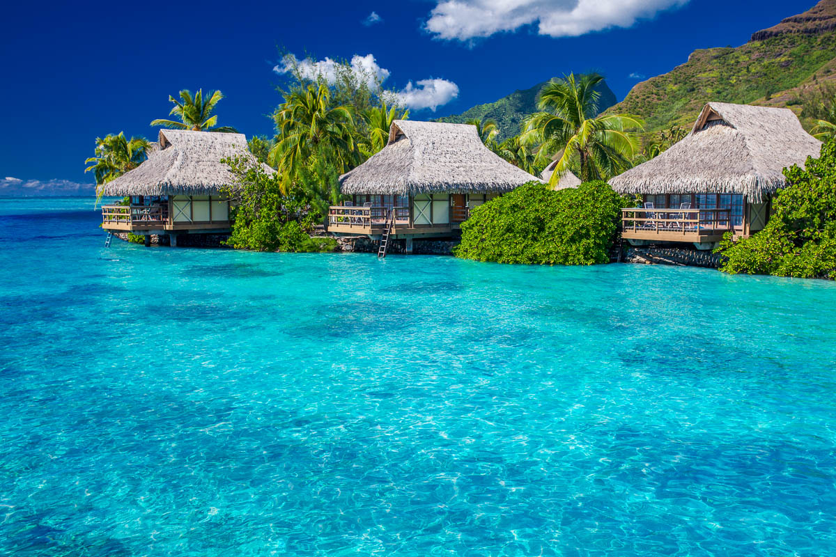 Tahiti Moorea French Polynesia Scuba Diving 3