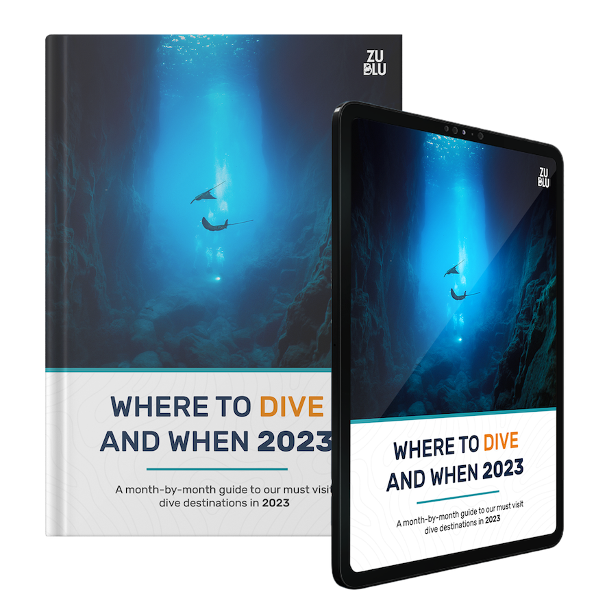 2023 Dive Guide Cover