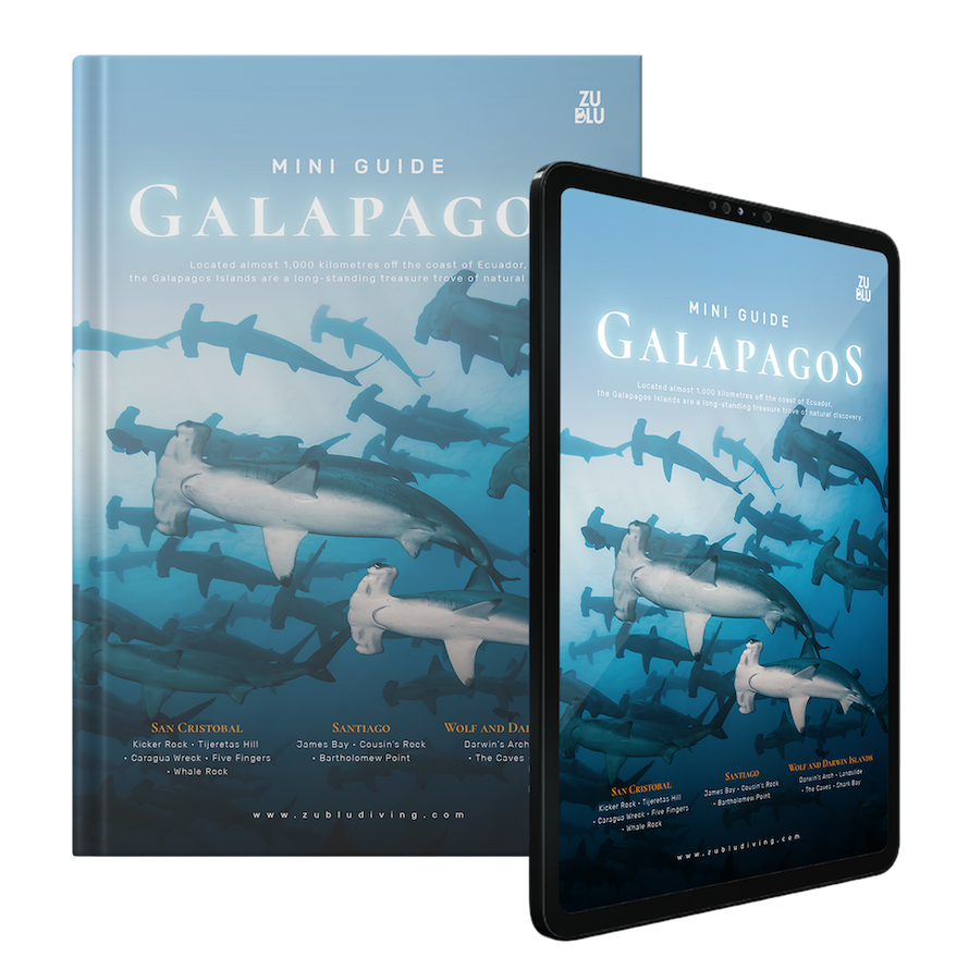 Mini Guide Guide Cover Mockup Galapagos