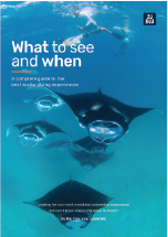 What To See And When Guide